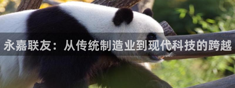 顺盈娱乐注册平台官网