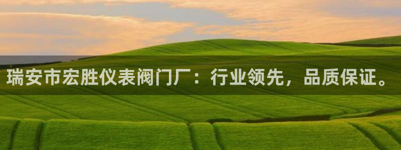 顺盈娱乐最高代理人