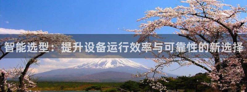 顺盈娱乐平台注册地址