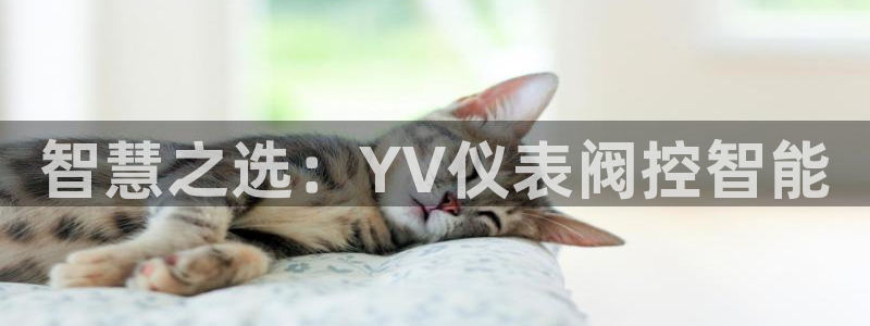 顺盈娱乐注册平台