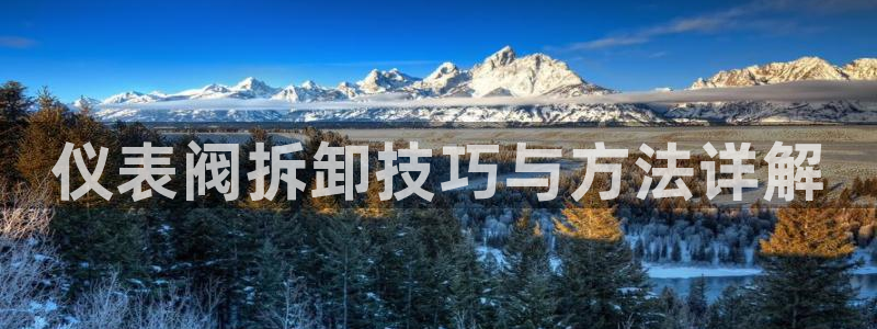 顺盈娱乐各究7276O