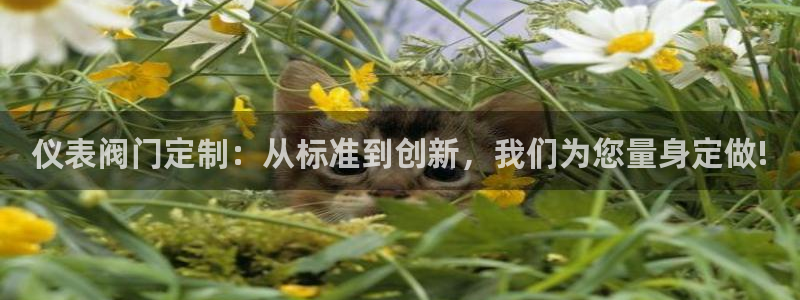 顺盈娱乐注册问一问