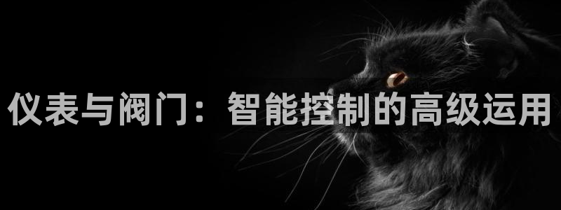 盈顺休闲娱乐室抖音团购