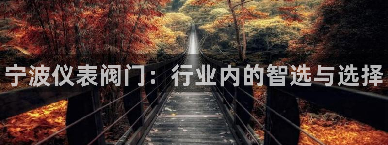 顺盈娱乐计究7276O