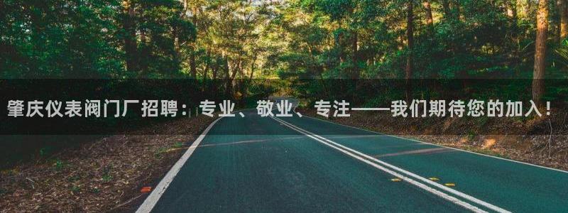 顺盈娱乐招商右原判官333OO