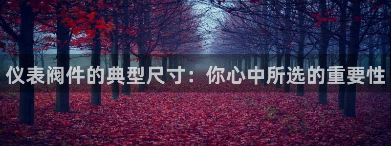 顺盈娱乐平台下载安装