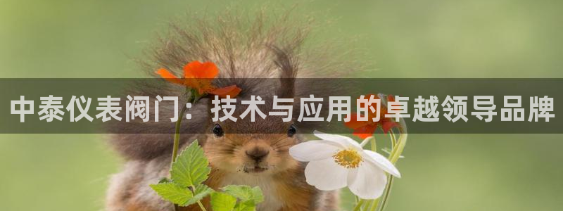 顺盈娱乐找527b.cn升哥