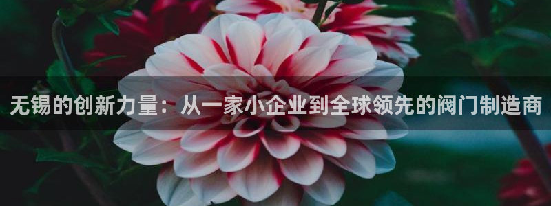 顺盈娱乐李333OO