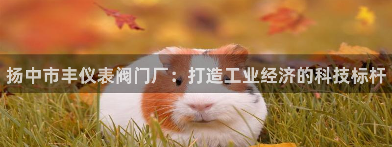 顺盈2娱乐平台注册