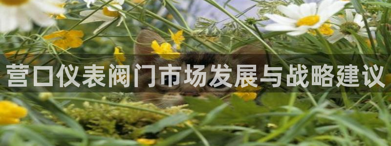 顺盈娱乐主管怎么样