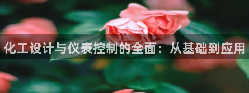 顺盈娱乐28是什么意思