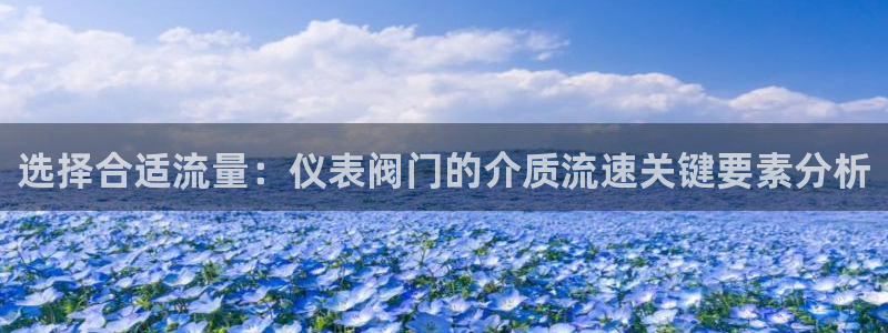 顺盈娱乐找527b.cn升哥