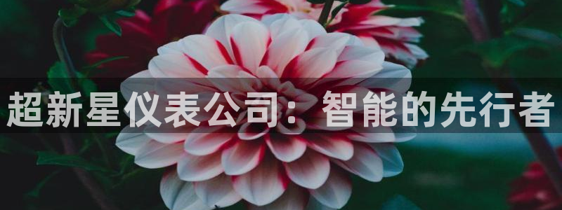 顺盈娱乐平台登录