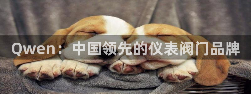 顺盈娱乐最高代理