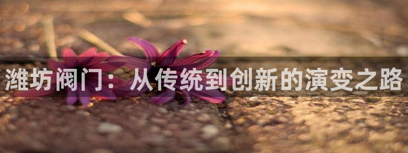 盈顺棋牌娱乐室地址电话