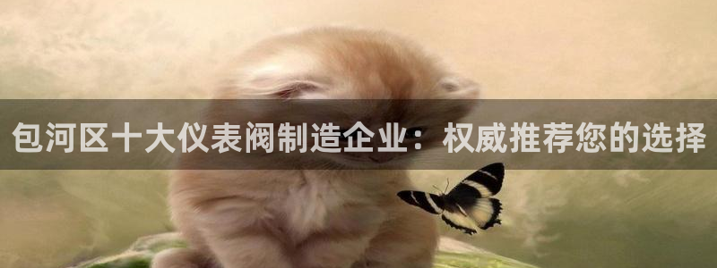 顺盈娱乐28是什么意思