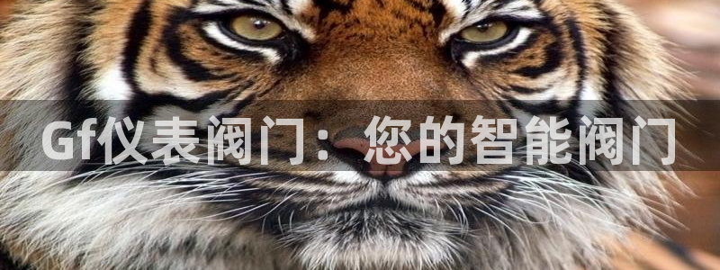 盈顺休闲娱乐室在哪里