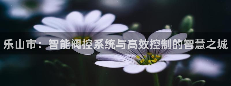 顺盈娱乐注册这唐老鸭779O3