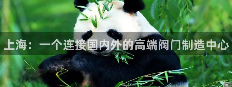 清远清城区顺盈娱乐