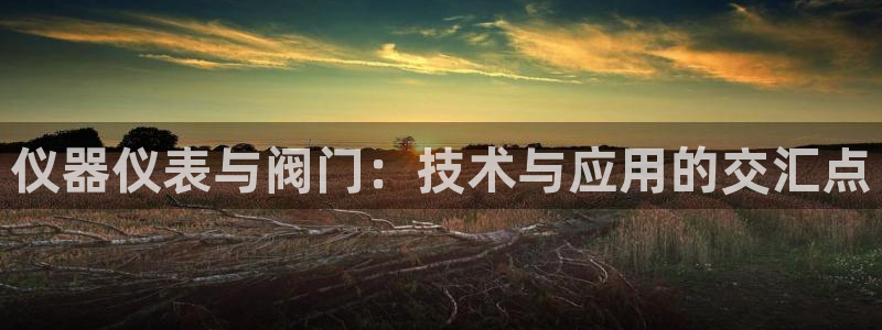 清远顺盈娱乐集团怎么样