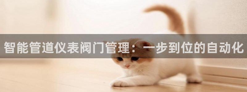 顺盈娱乐是什么