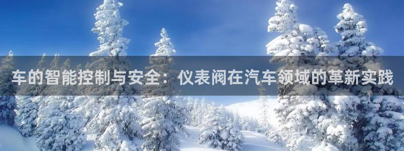 顺盈娱乐那家公司旗下