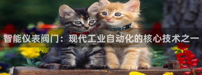 清远顺盈娱乐公司地址