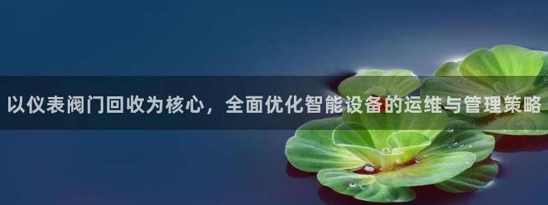 顺盈娱乐团购