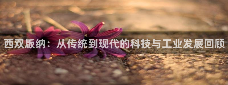 顺盈2娱乐在线教育