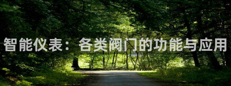 顺盈娱乐招商右原判官333OO