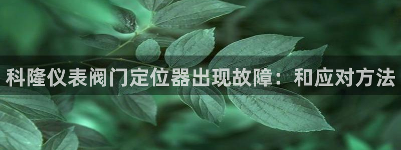 清远顺盈游戏娱乐