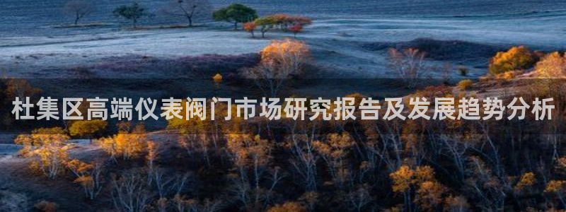 顺盈娱乐最高代理是谁呀