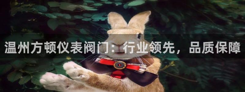 顺盈娱乐代理怎么样