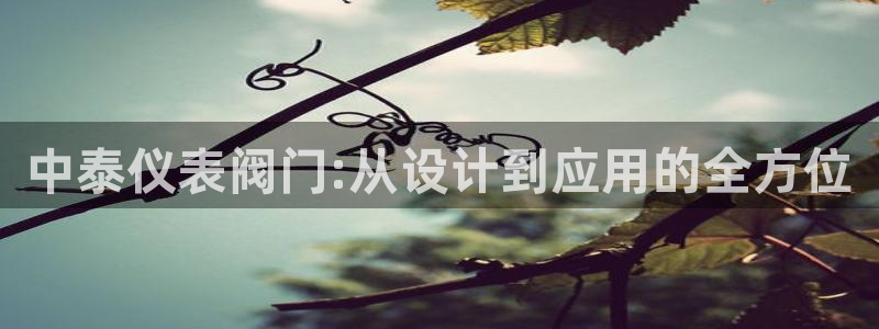 顺盈娱乐平台官网