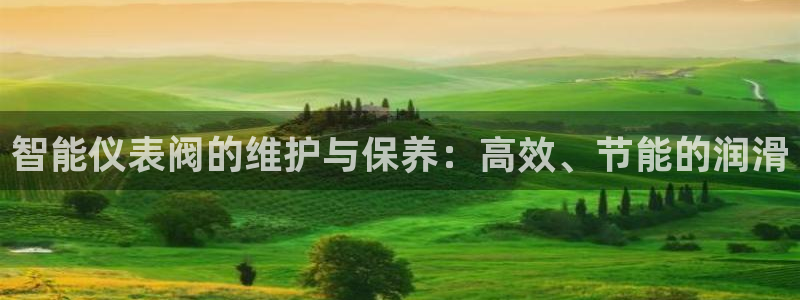 顺盈娱乐下载手机版