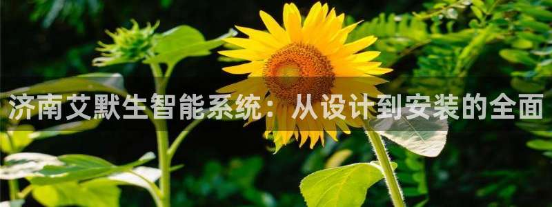 顺盈娱乐注册登录平台