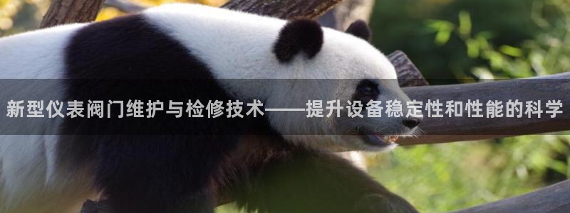 顺盈娱乐官网首页