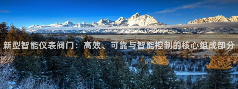 顺盈娱乐平台注册