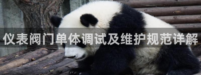 顺盈平台娱乐怎么样啊