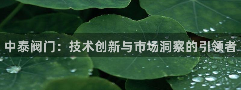 顺盈娱乐在线注册地址