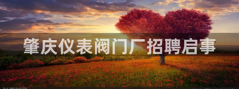 顺盈娱乐最高代理人