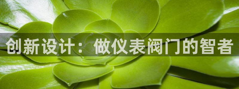 顺盈娱乐招商后原判官333OO
